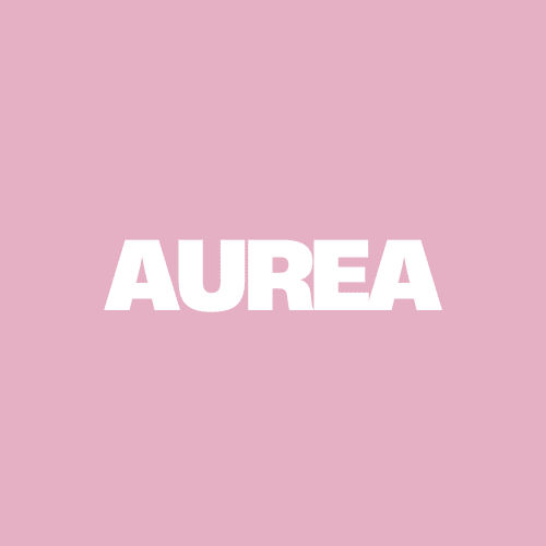 pytment checking - Aurea